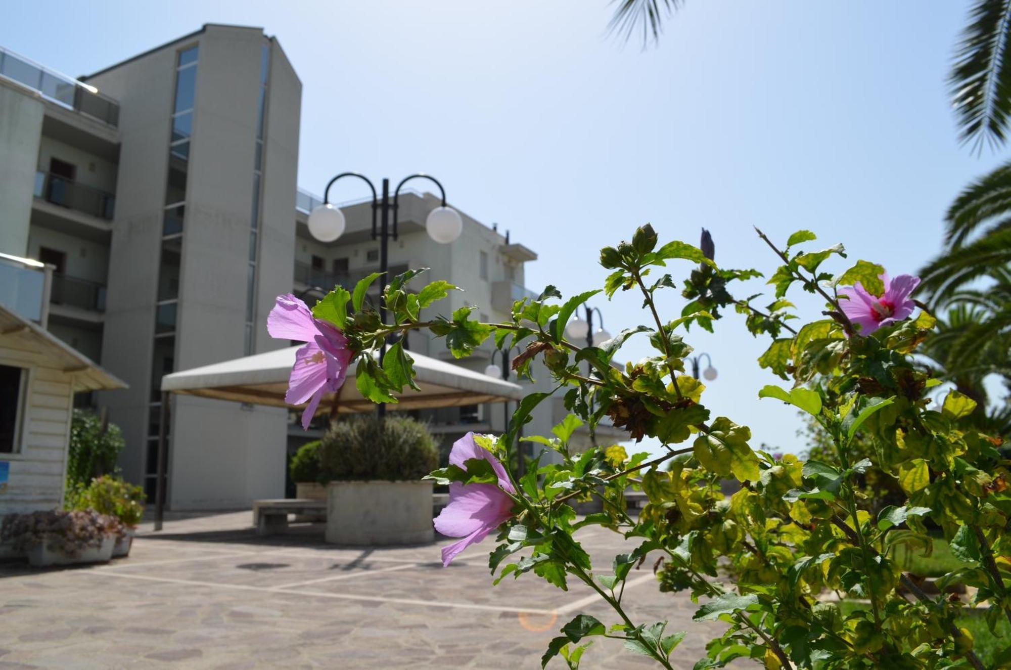 Residence Brezza Di Mare San Benedetto del Tronto Luaran gambar